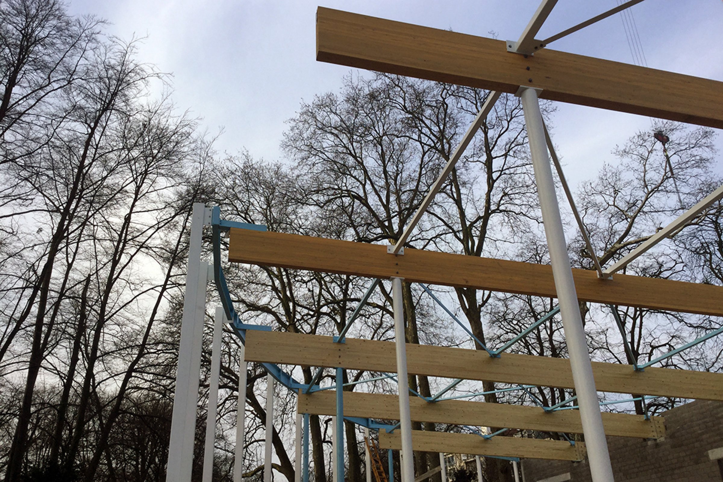 180206-CCA12-structuur