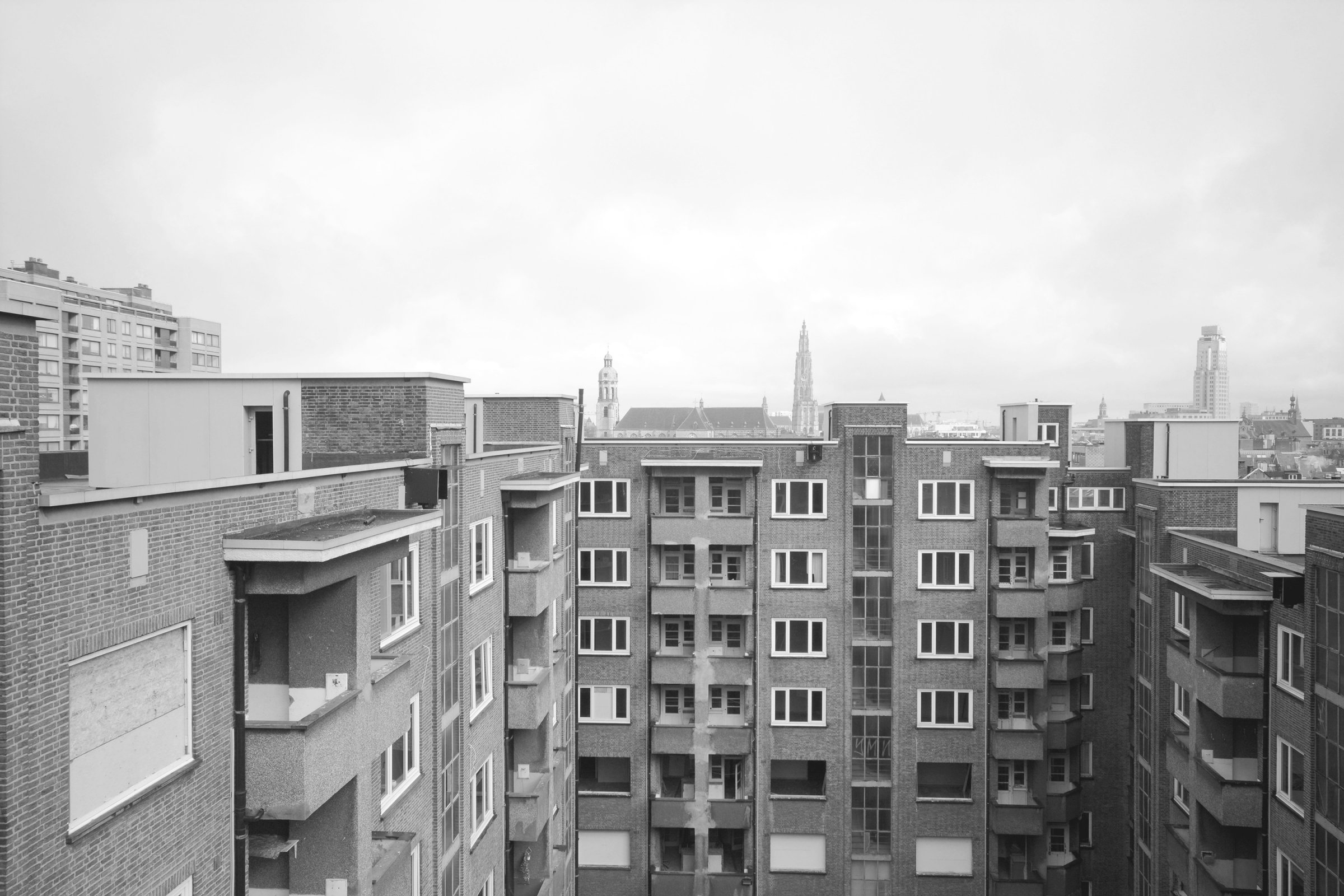 DSC_0883