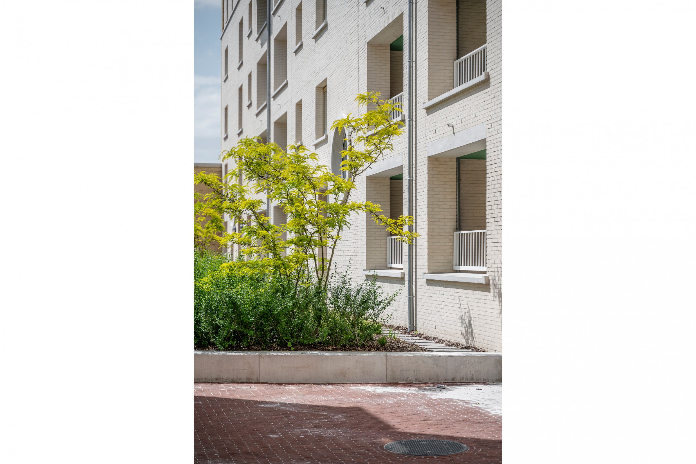 ESA14.600 S-groen in binnentuin